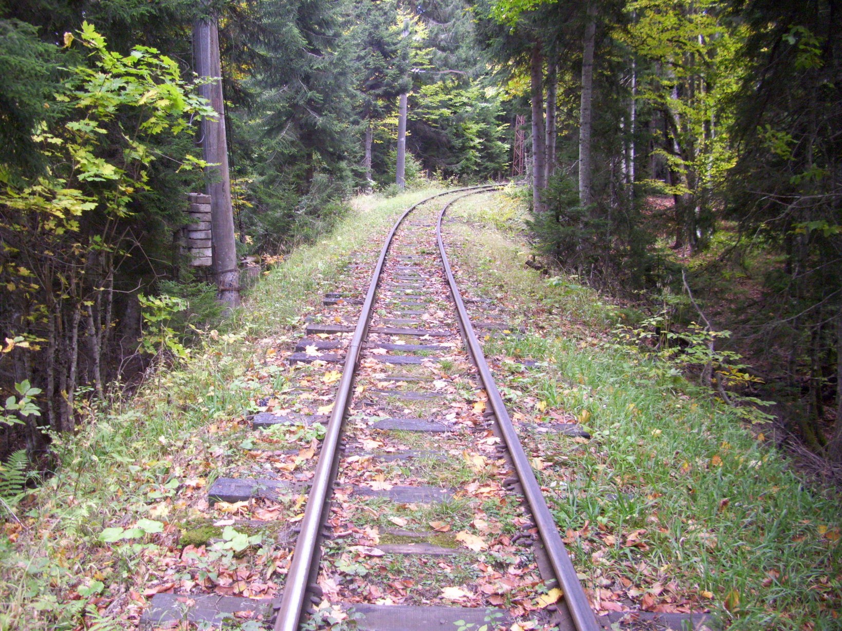Узкоколейная железная дорога Боржоми — Бакуриани — фотографии, сделанные в 2010 году (часть 16)