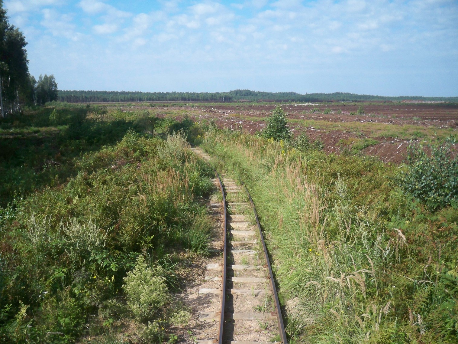 Узкоколейная железная дорога торфопредприятия имени Даумана
  —  фотографии, сделанные в 2013 году (часть 5)