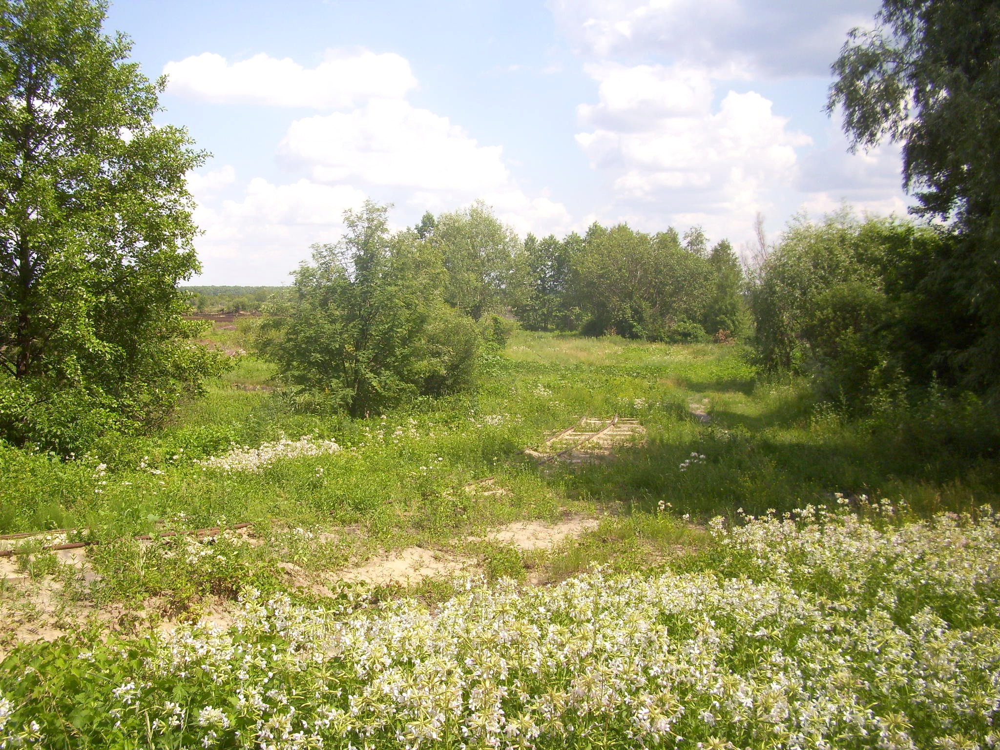 Узкоколейная железная дорога Смолинского торфобрикетного завода
  —  фотографии, сделанные в 2011 году (часть 3)