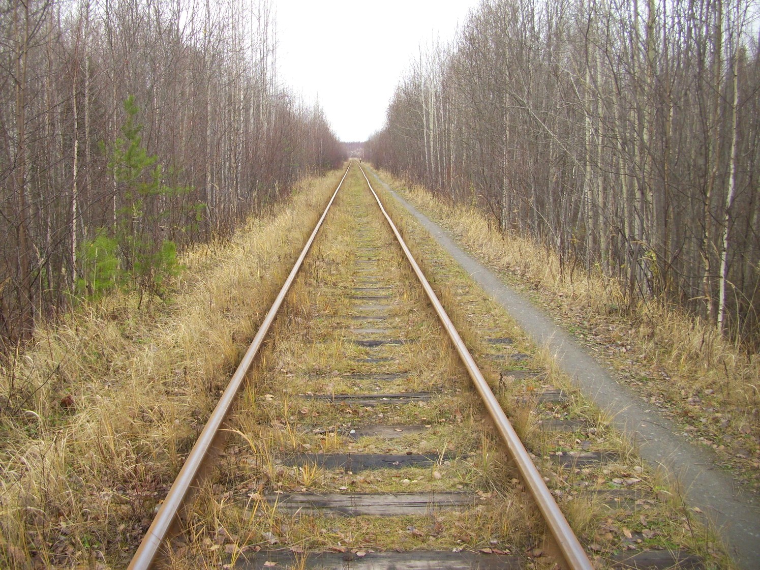 Гайно-Кайская железная дорога — фотографии, сделанные в 2009 году (часть 8)