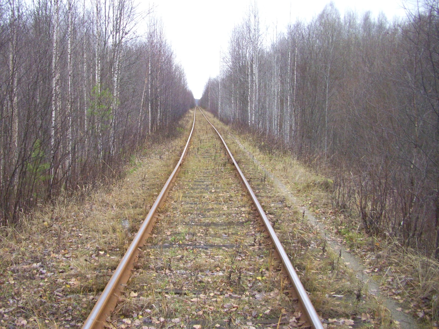 Гайно-Кайская железная дорога — фотографии, сделанные в 2009 году (часть 12)