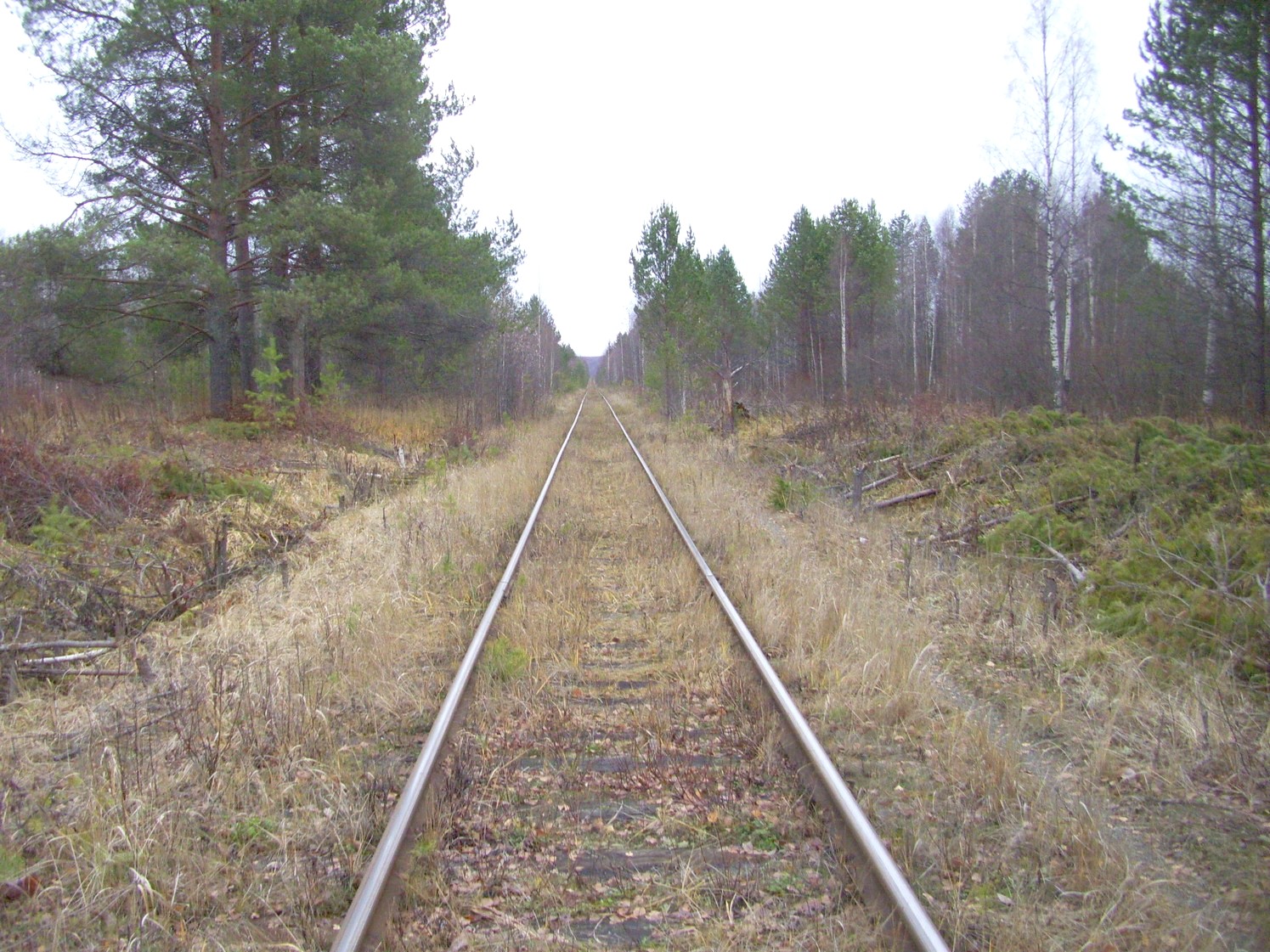 Гайно-Кайская железная дорога — фотографии, сделанные в 2009 году (часть 13)