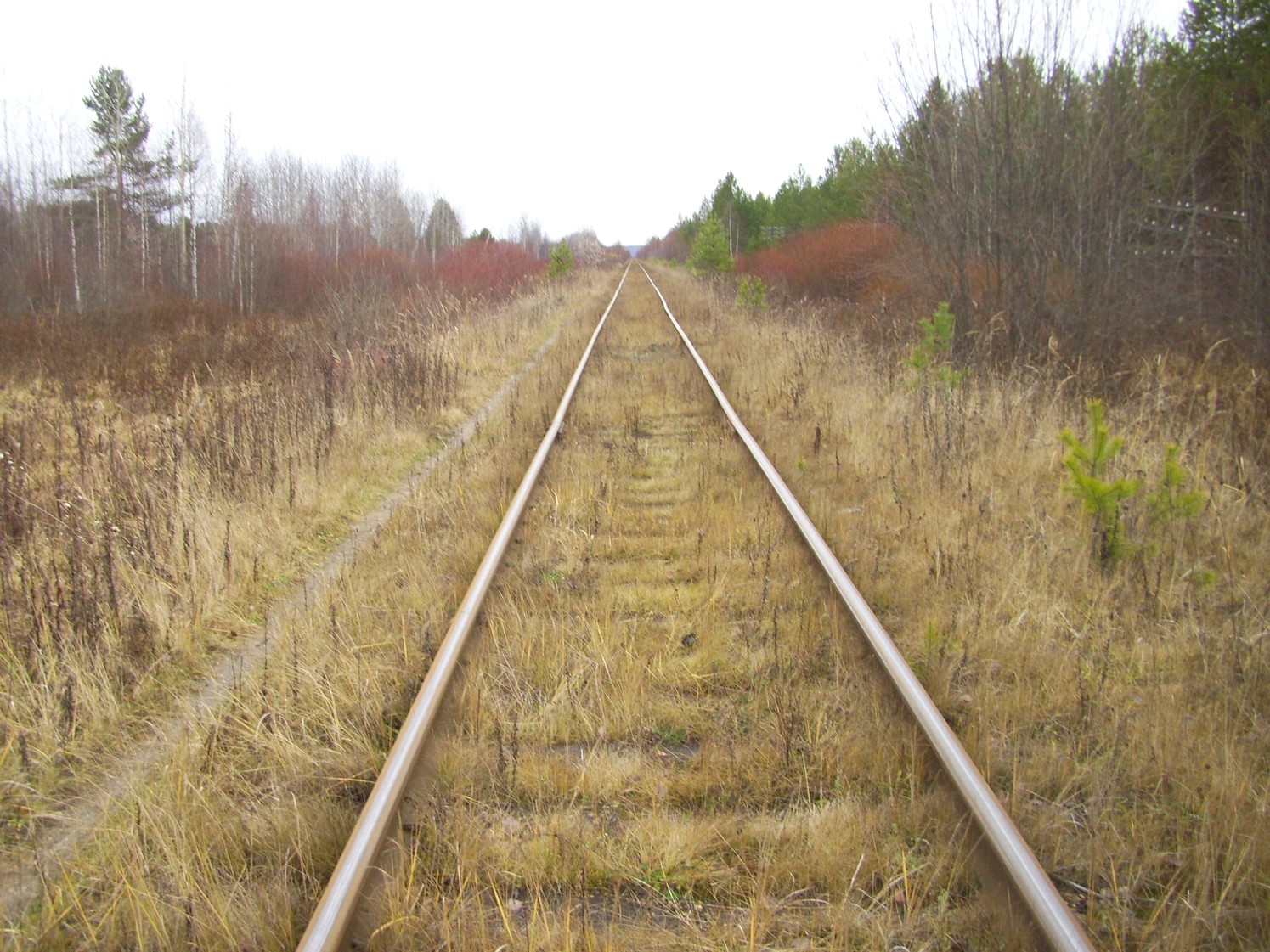 Гайно-Кайская железная дорога — фотографии, сделанные в 2009 году (часть 5)