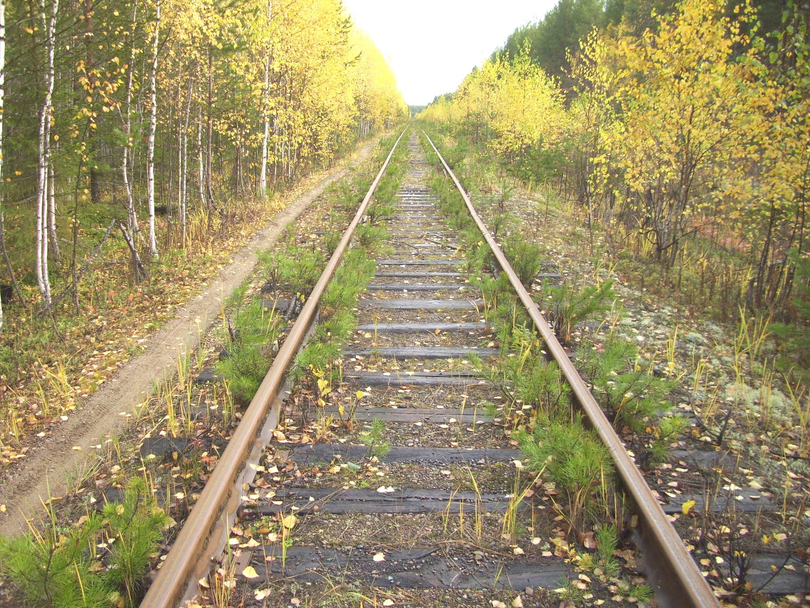 Гайно-Кайская железная дорога — фотографии, сделанные в 2011 году (часть 5)