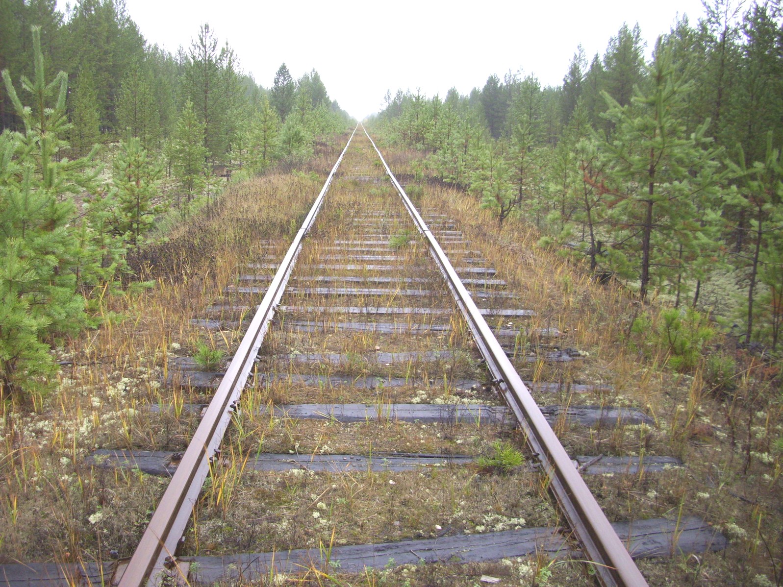 Гайно-Кайская железная дорога — фотографии, сделанные в 2011 году (часть 11)