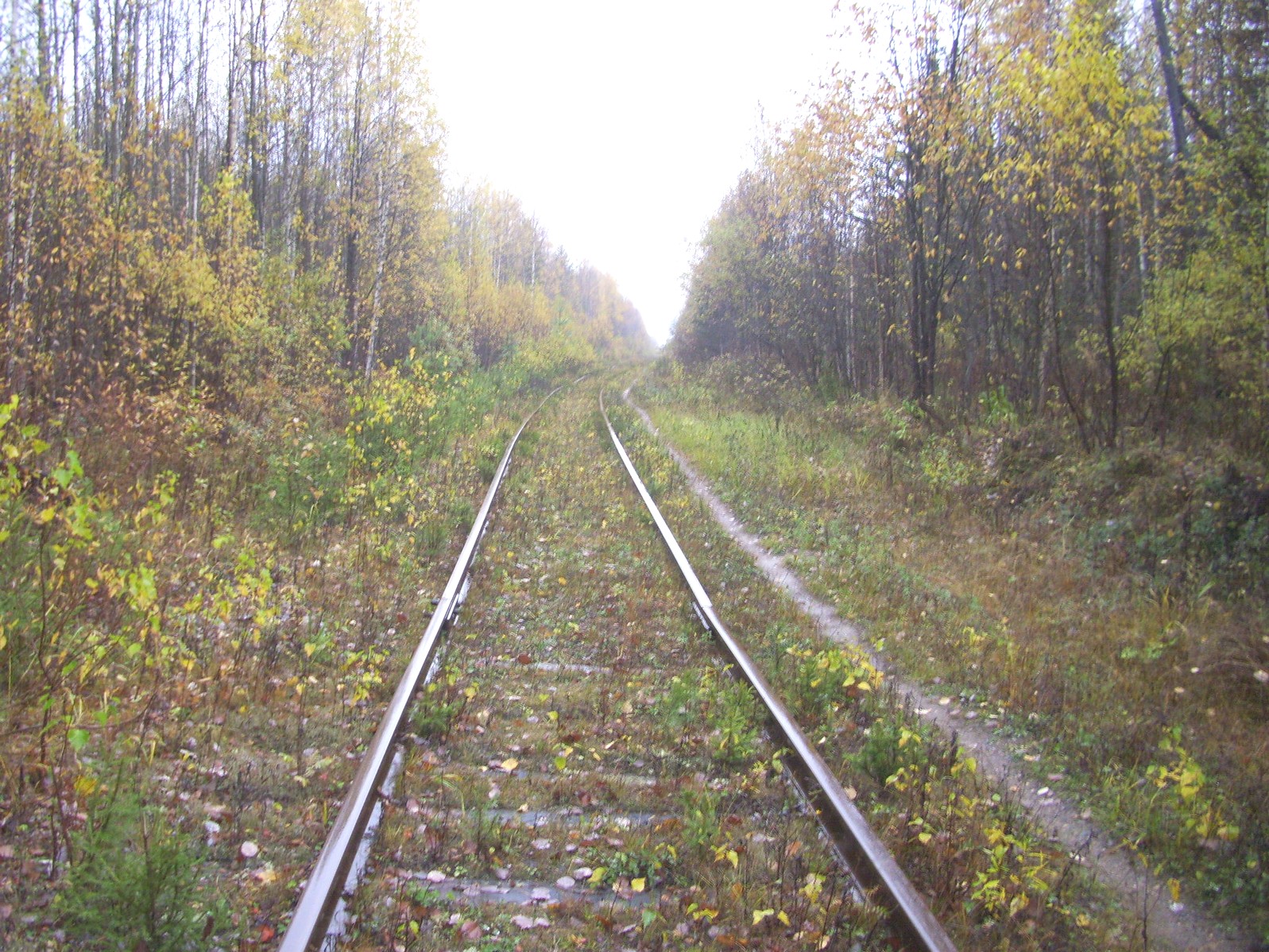 Гайно-Кайская железная дорога — фотографии, сделанные в 2011 году (часть 13)