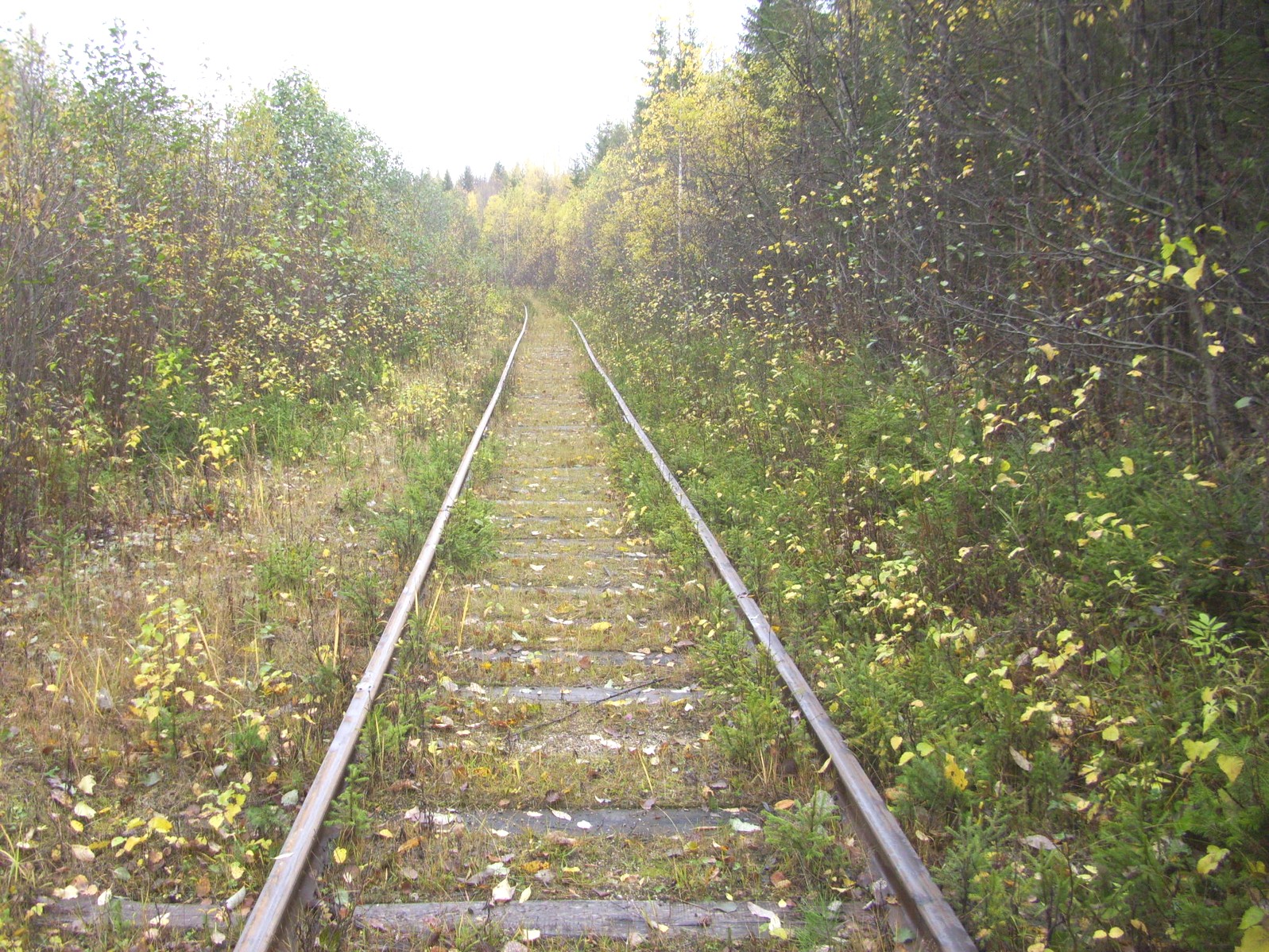 Гайно-Кайская железная дорога — фотографии, сделанные в 2011 году (часть 16)