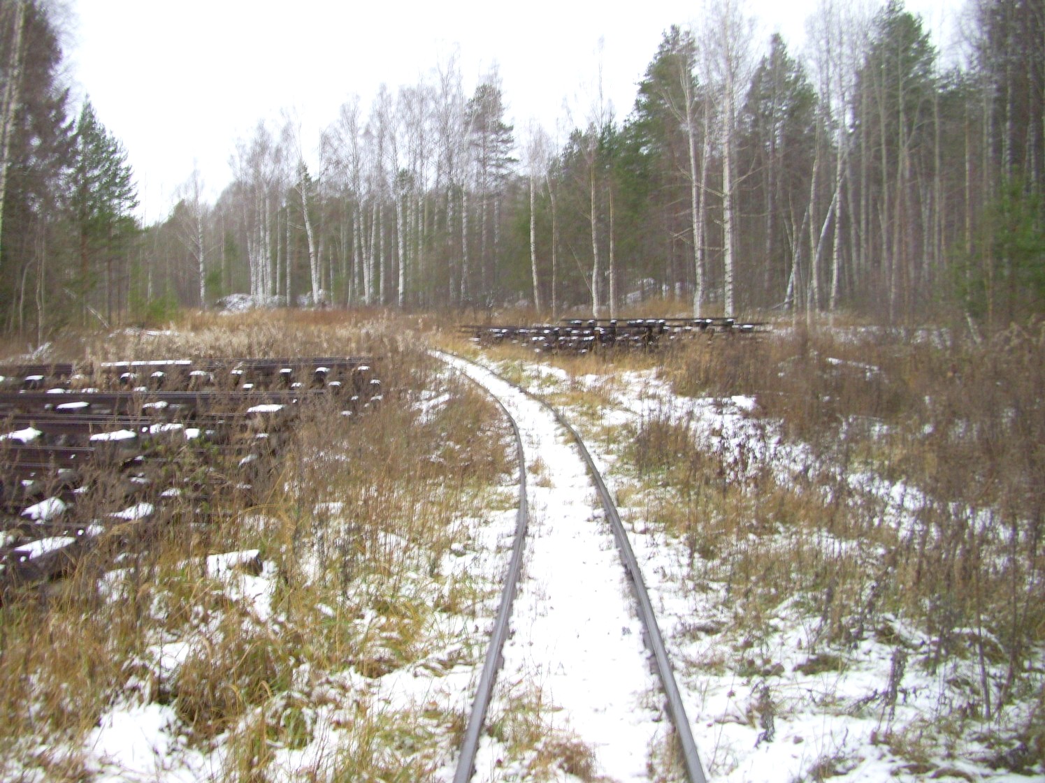 Узкоколейная железная дорога Орловского торфопредприятия   —  фотографии, сделанные в 2009 году (часть 6)