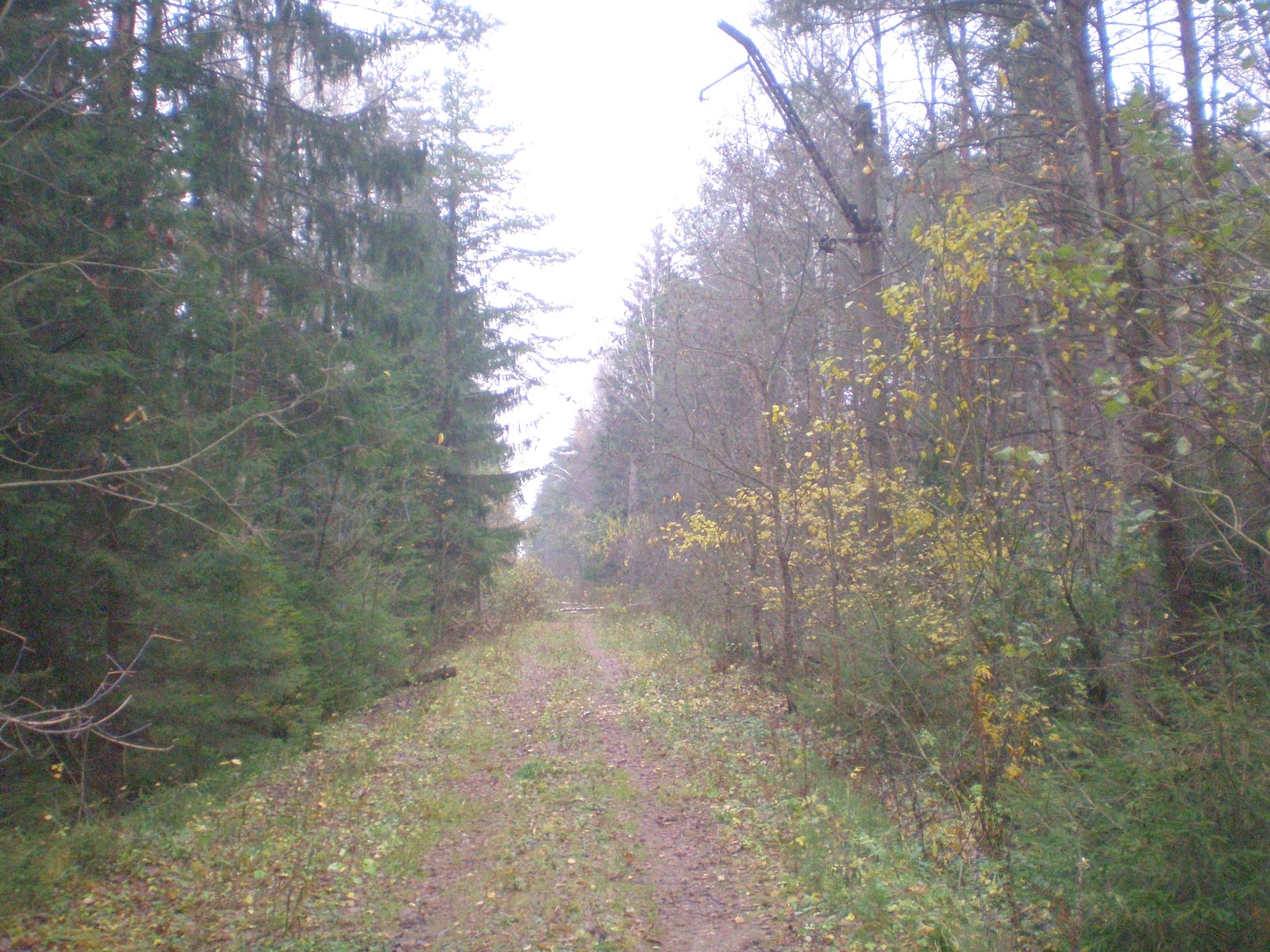 Железнодорожная линия Мытищи — Пирогово
  —  фотографии, сделанные в 2008 году (часть 3)
