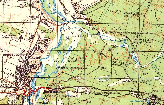 Узкоколейная железная дорога Рамонского сахарного комбината