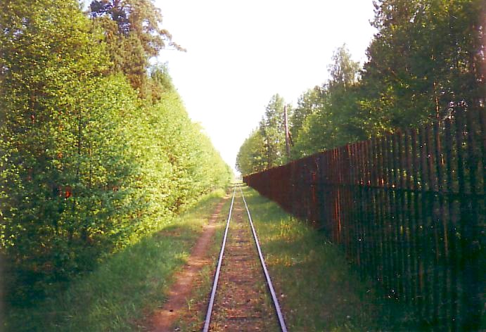 Лесовозная  узкоколейная железная дорога Выксунского леспромхоза — фотографии, сделанные в 2003 году