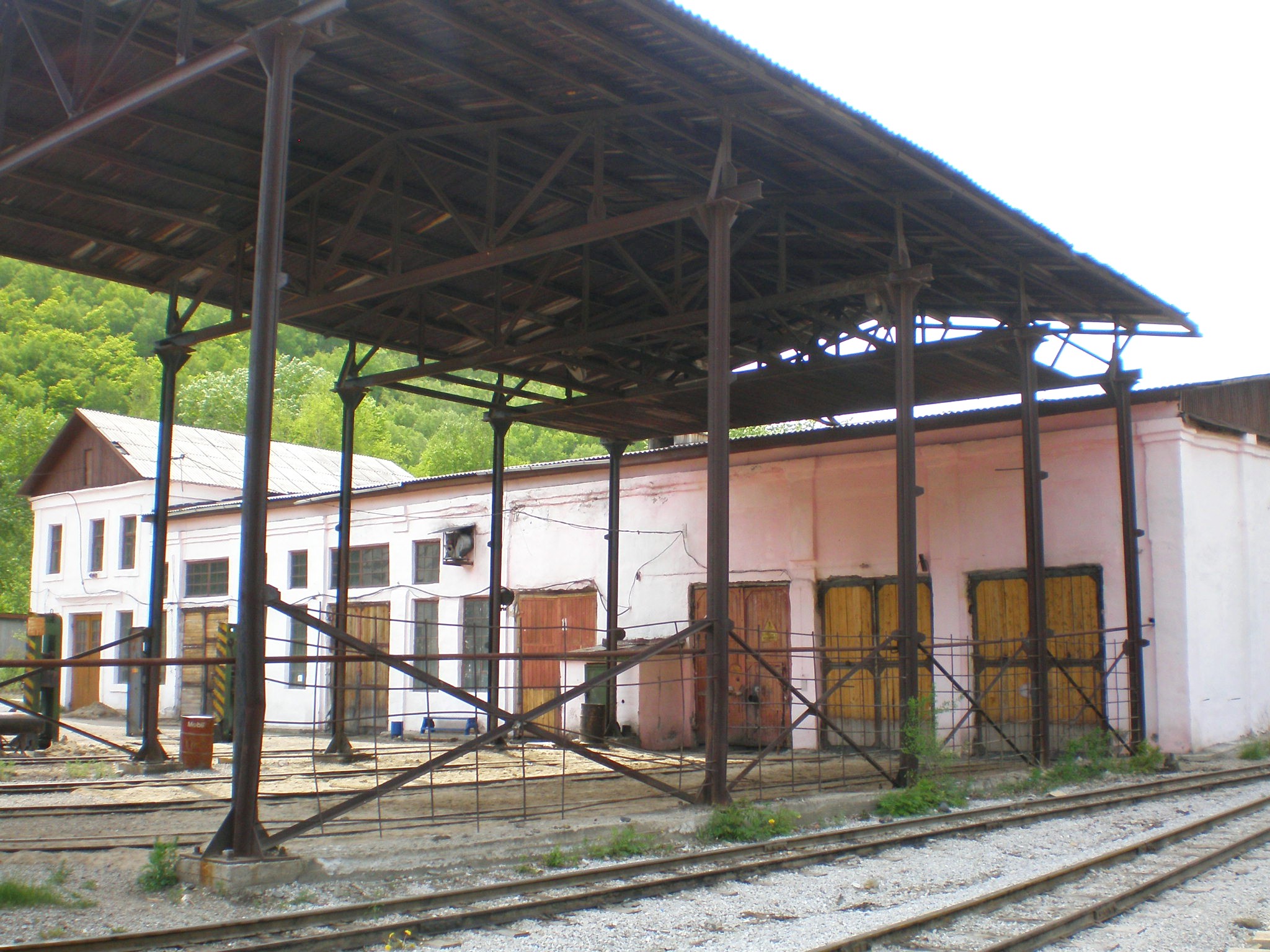 Тетюхинская узкоколейная железная дорога  —  фотографии, сделанные в 2008 году (часть 3)