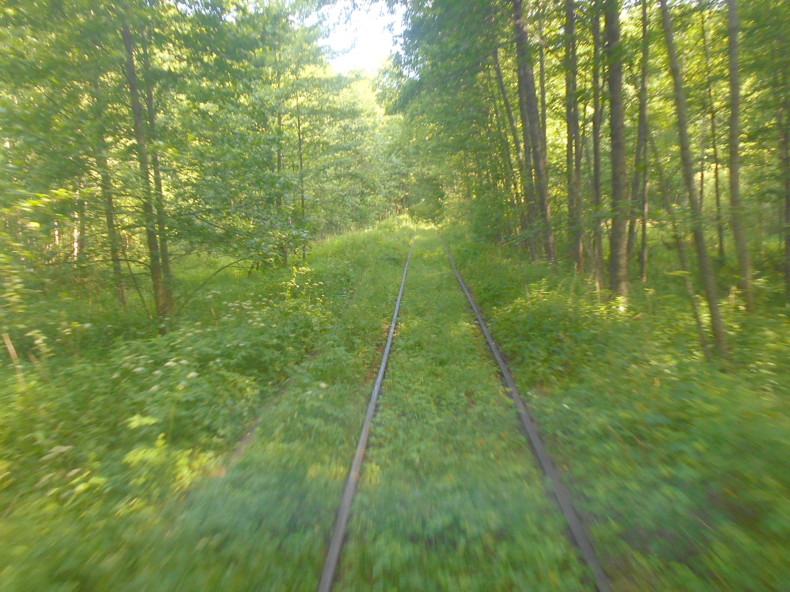 Железнодорожная линия Дятьково  —  Бытошь — фотографии, сделанные в 2018 году (часть 5)