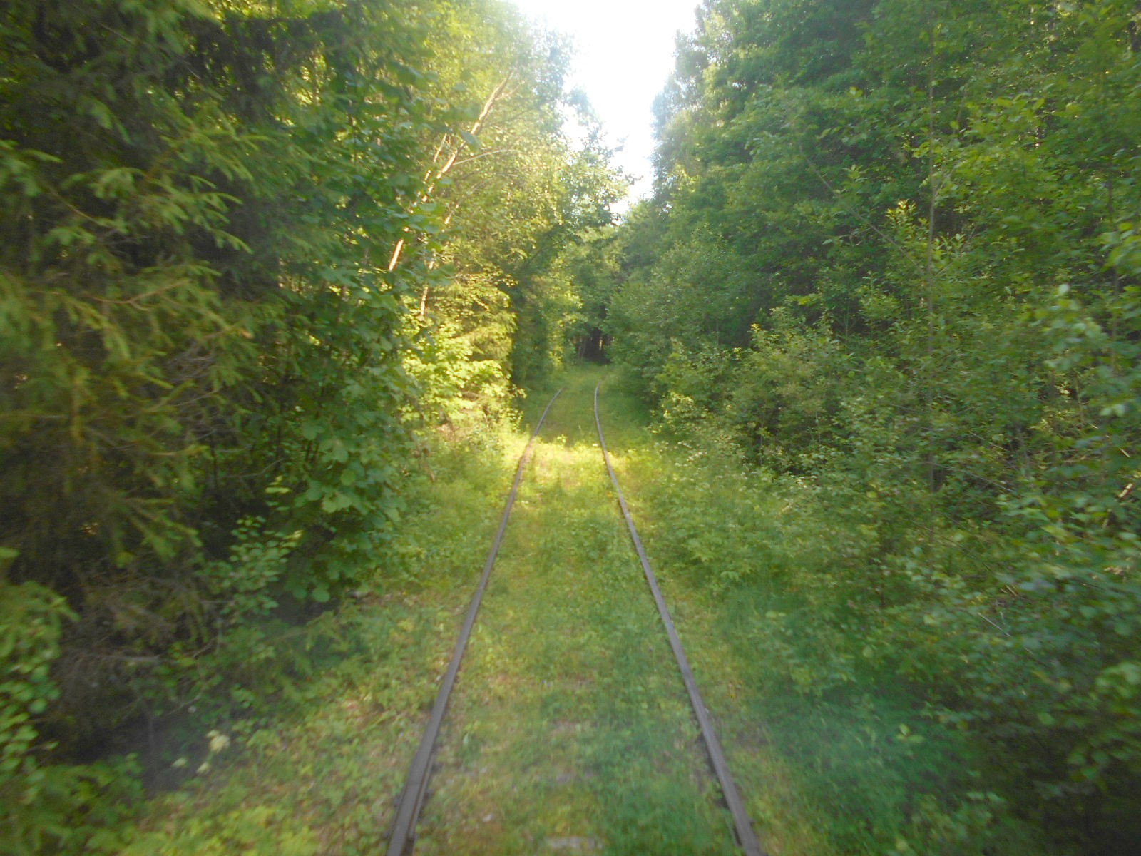 Железнодорожная линия Дятьково  —  Бытошь — фотографии, сделанные в 2018 году (часть 6)