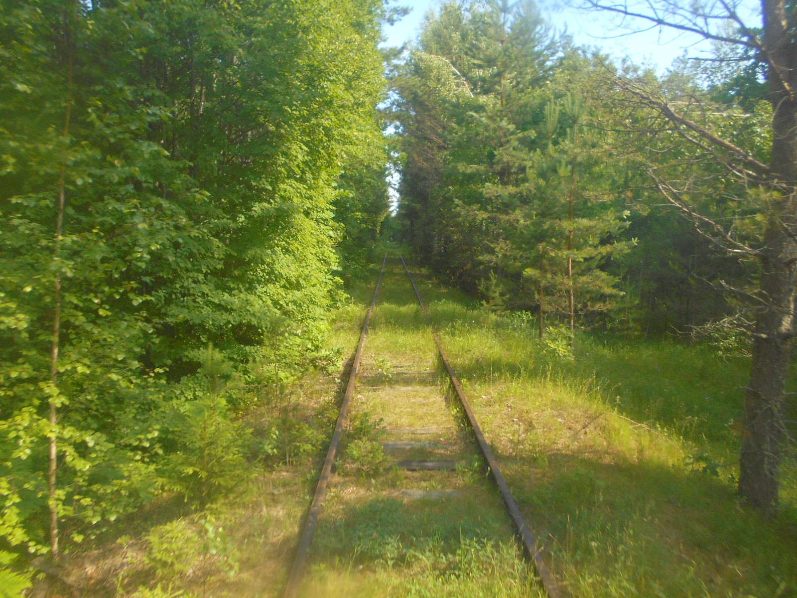 Железнодорожная линия Дятьково  —  Бытошь — фотографии, сделанные в 2018 году (часть 3)