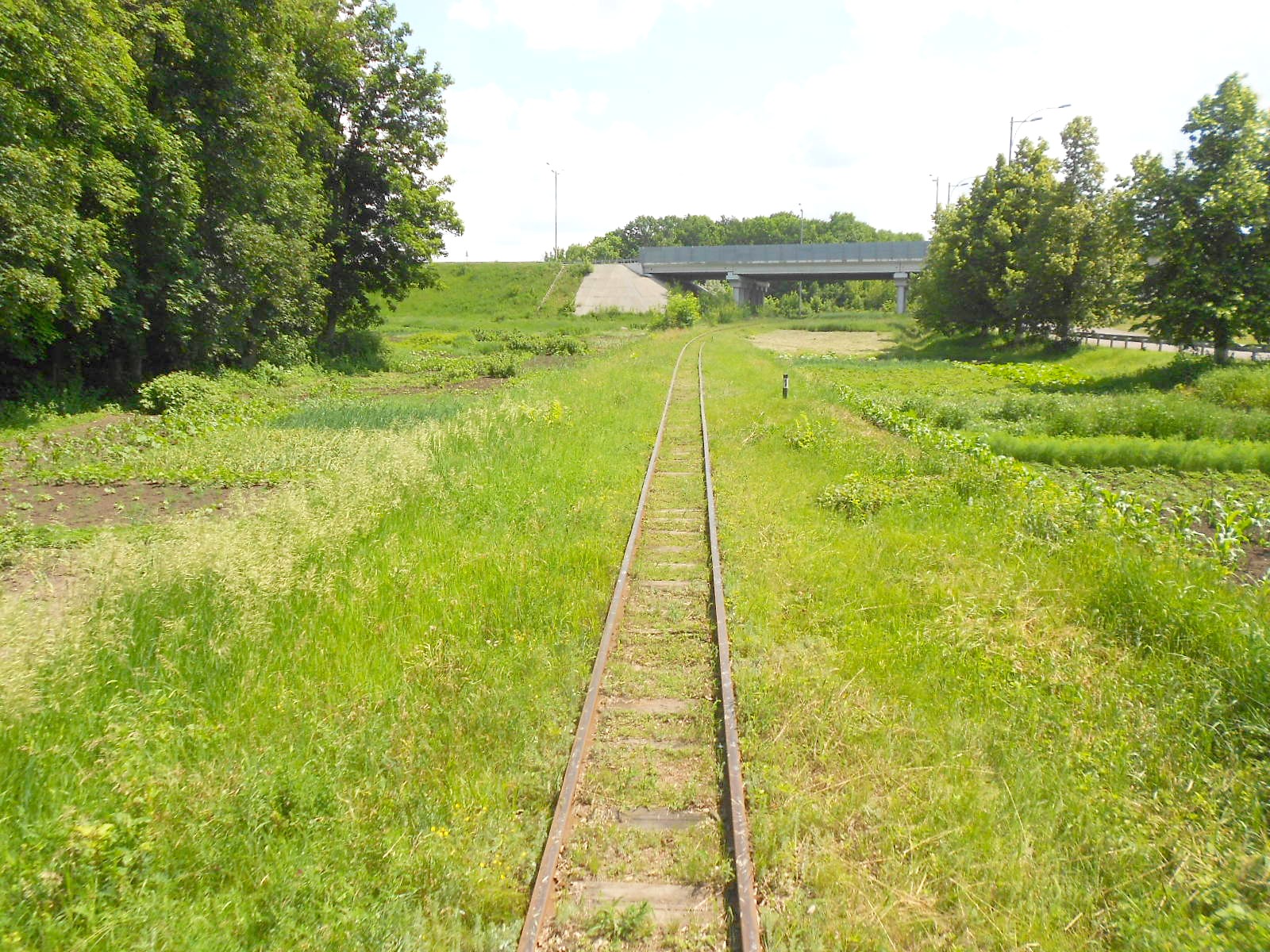 Узкоколейная железная дорога Гайворонского отделения Одесской железной дороги — фотографии, сделанные в 2016 году (часть 4)