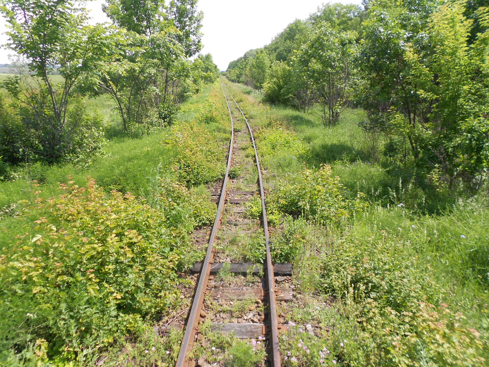 Узкоколейная железная дорога Гайворонского отделения Одесской железной дороги — фотографии, сделанные в 2016 году (часть 6)