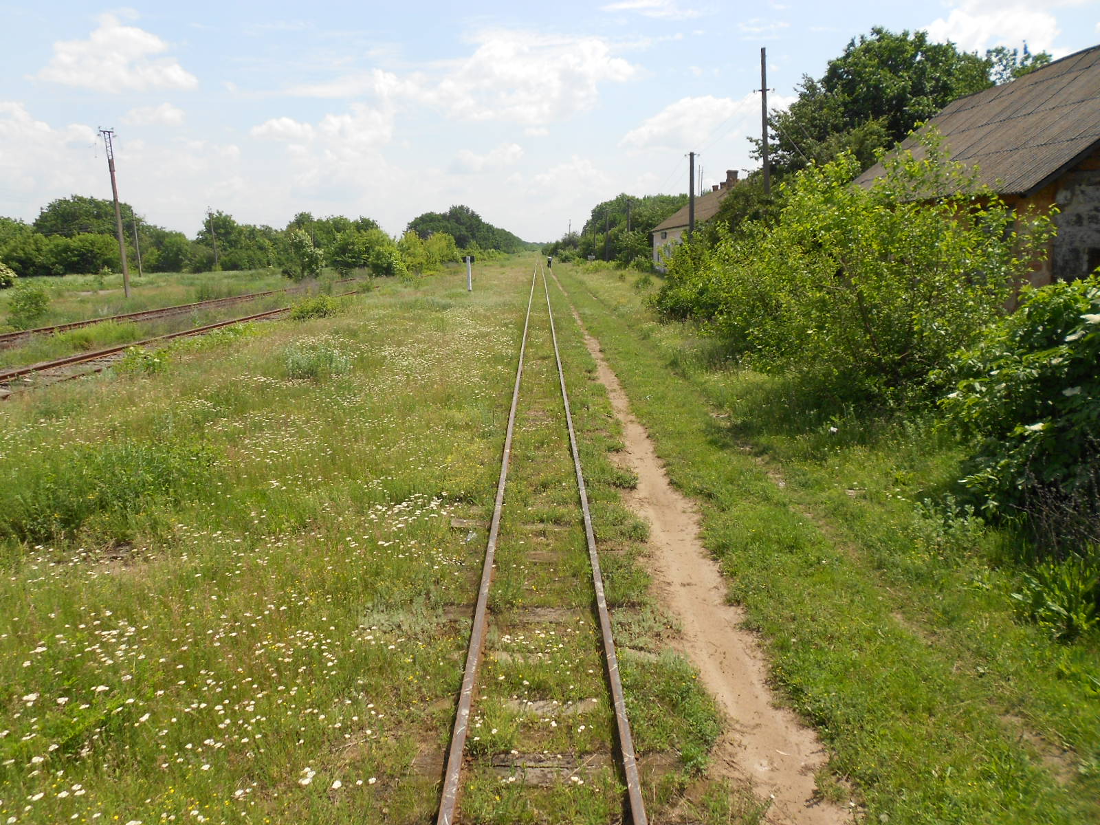 Узкоколейная железная дорога Гайворонского отделения Одесской железной дороги — фотографии, сделанные в 2016 году (часть 7)