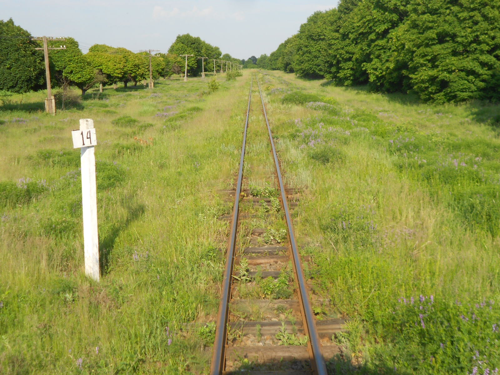 Узкоколейная железная дорога Гайворонского отделения Одесской железной дороги — фотографии, сделанные в 2016 году (часть 15)