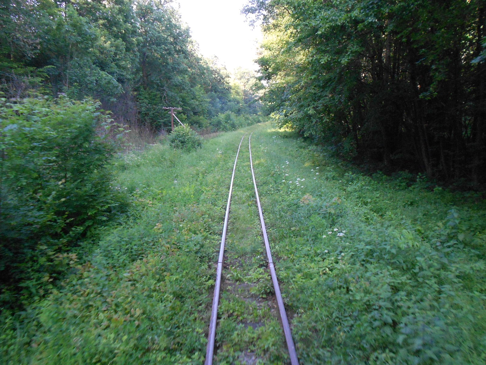 Узкоколейная железная дорога Гайворонского отделения Одесской железной дороги — фотографии, сделанные в 2016 году (часть 16)