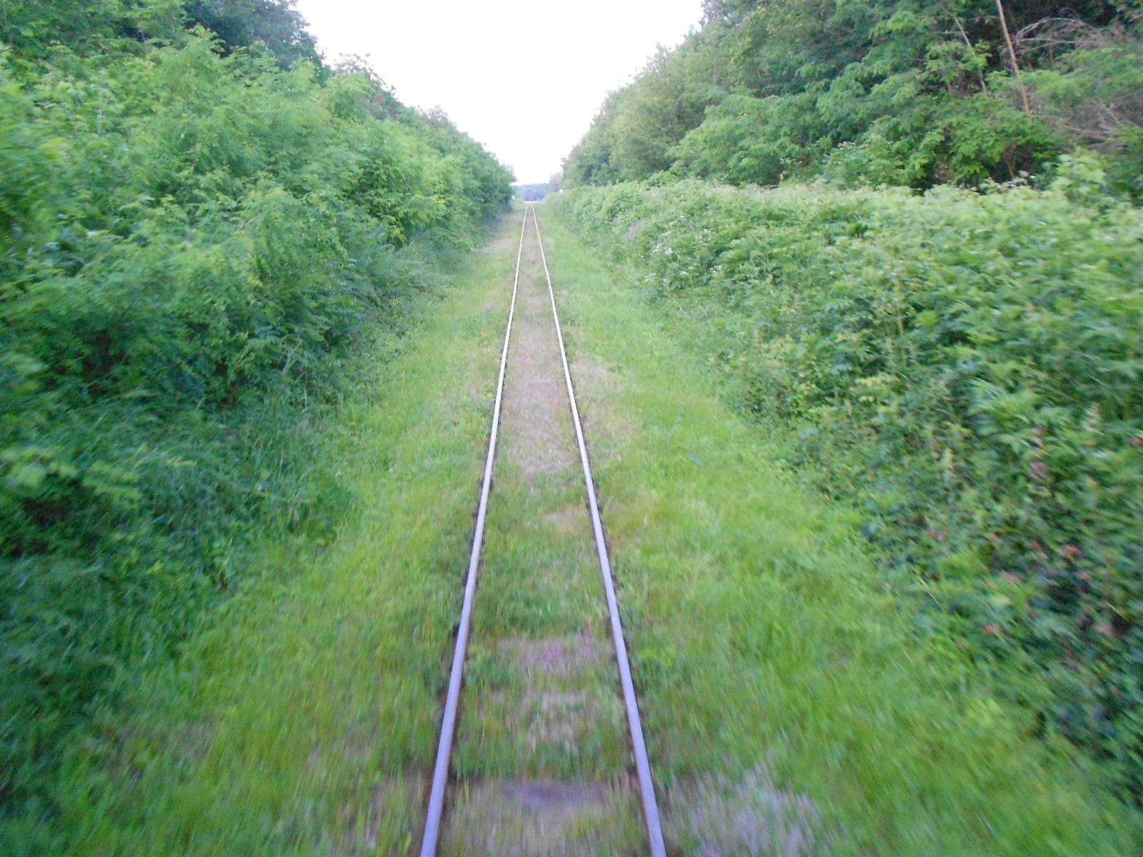 Узкоколейная железная дорога Гайворонского отделения Одесской железной дороги — фотографии, сделанные в 2016 году (часть 20)