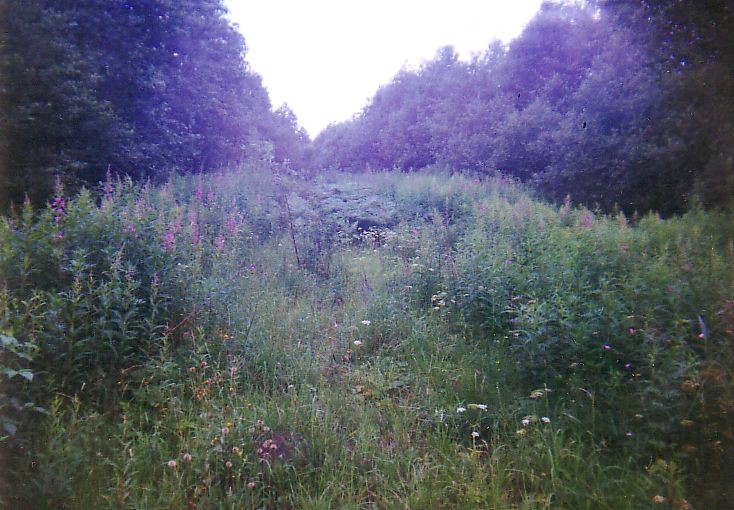 Узкоколейная железная дорога Заплюсского торфопредприятия