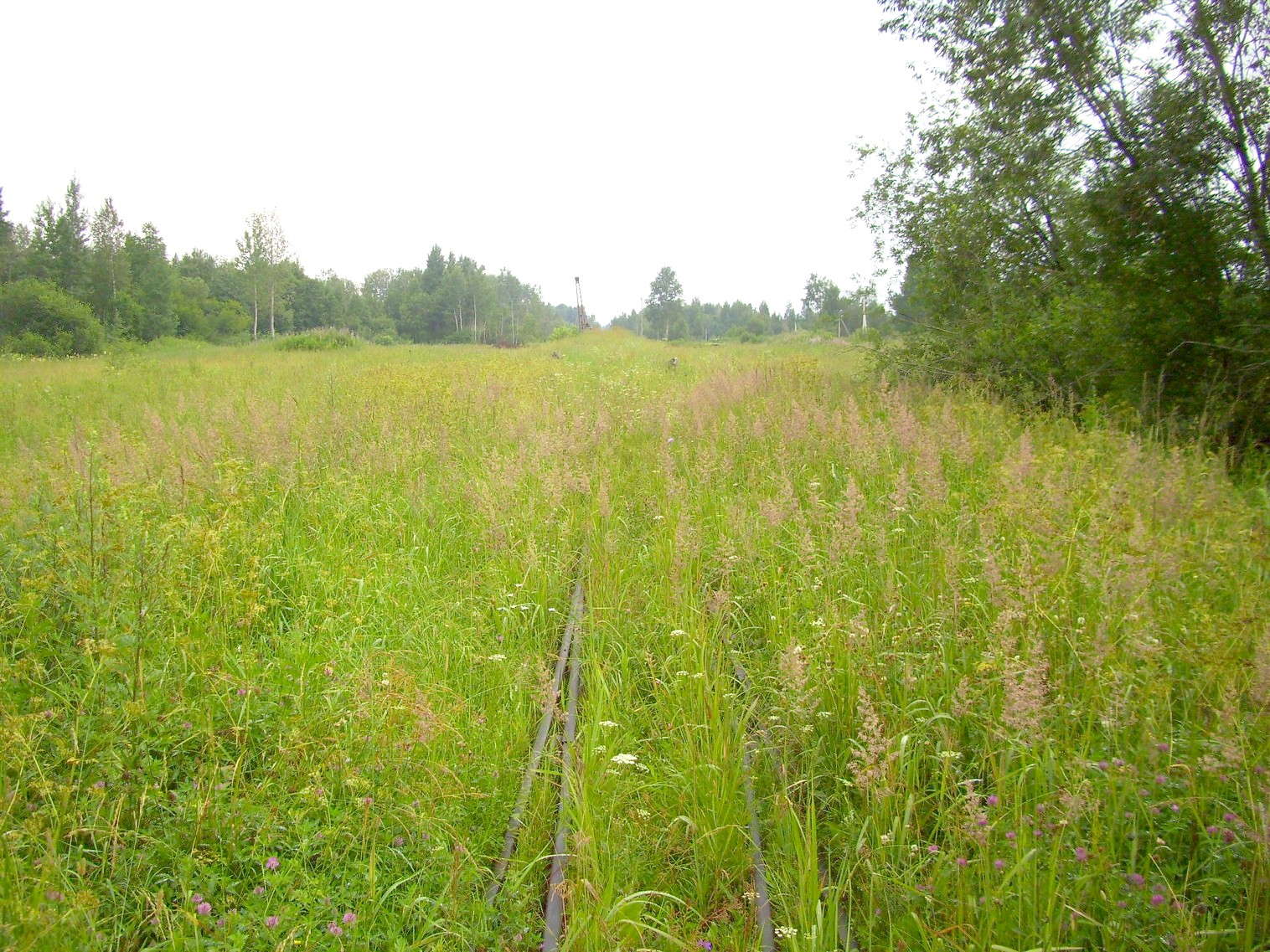 Узкоколейная железная дорога Заплюсского торфопредприятия — фотографии, сделанные в 2010 году (часть 7)