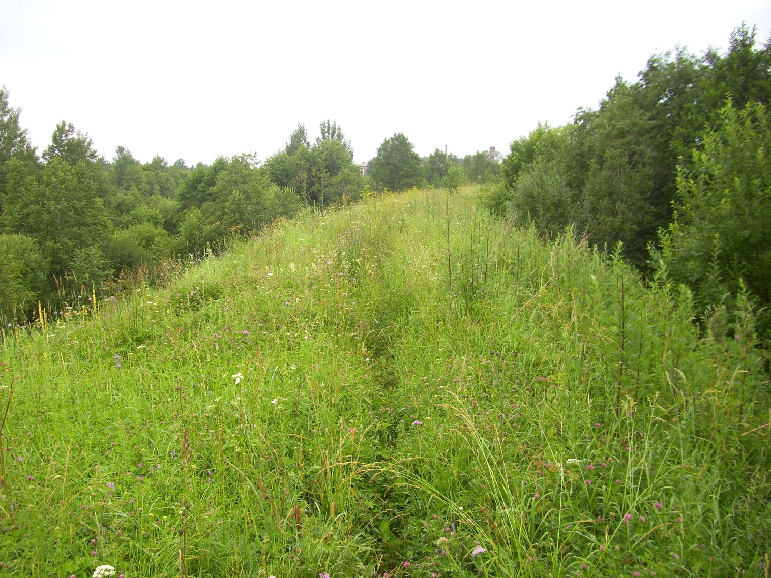 Узкоколейная железная дорога Заплюсского торфопредприятия — фотографии, сделанные в 2010 году (часть 10)