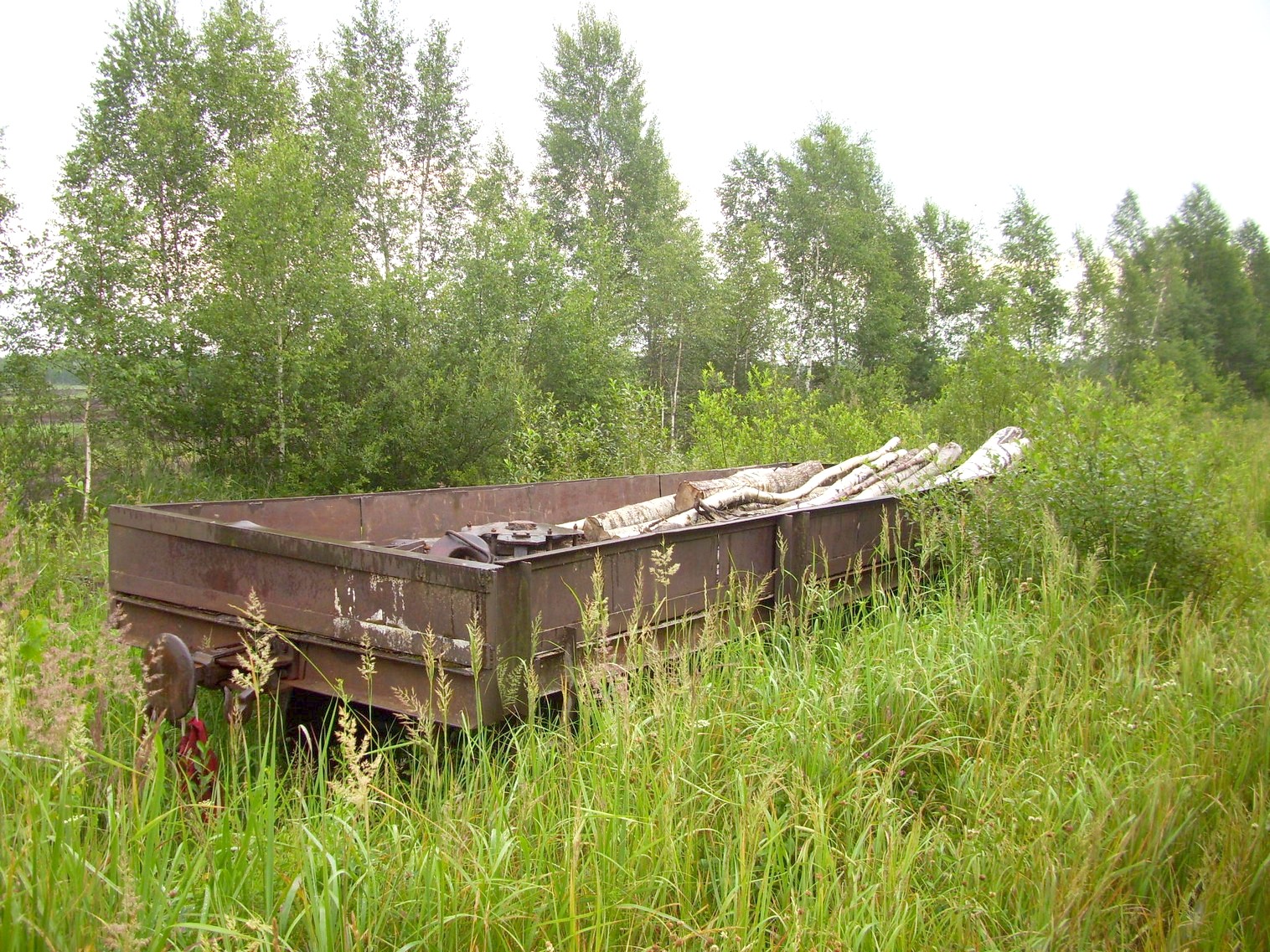 Узкоколейная железная дорога Заплюсского торфопредприятия — фотографии, сделанные в 2010 году (часть 4)