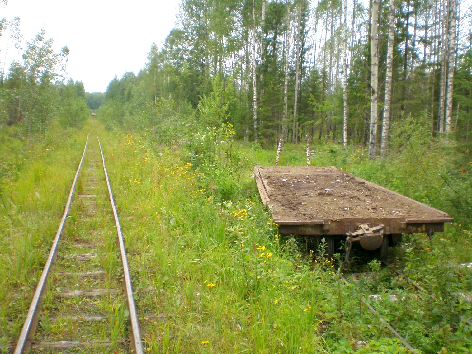 Митинская узкоколейная железная дорога 
  —  фотографии, сделанные в 2008 году (часть 20)
