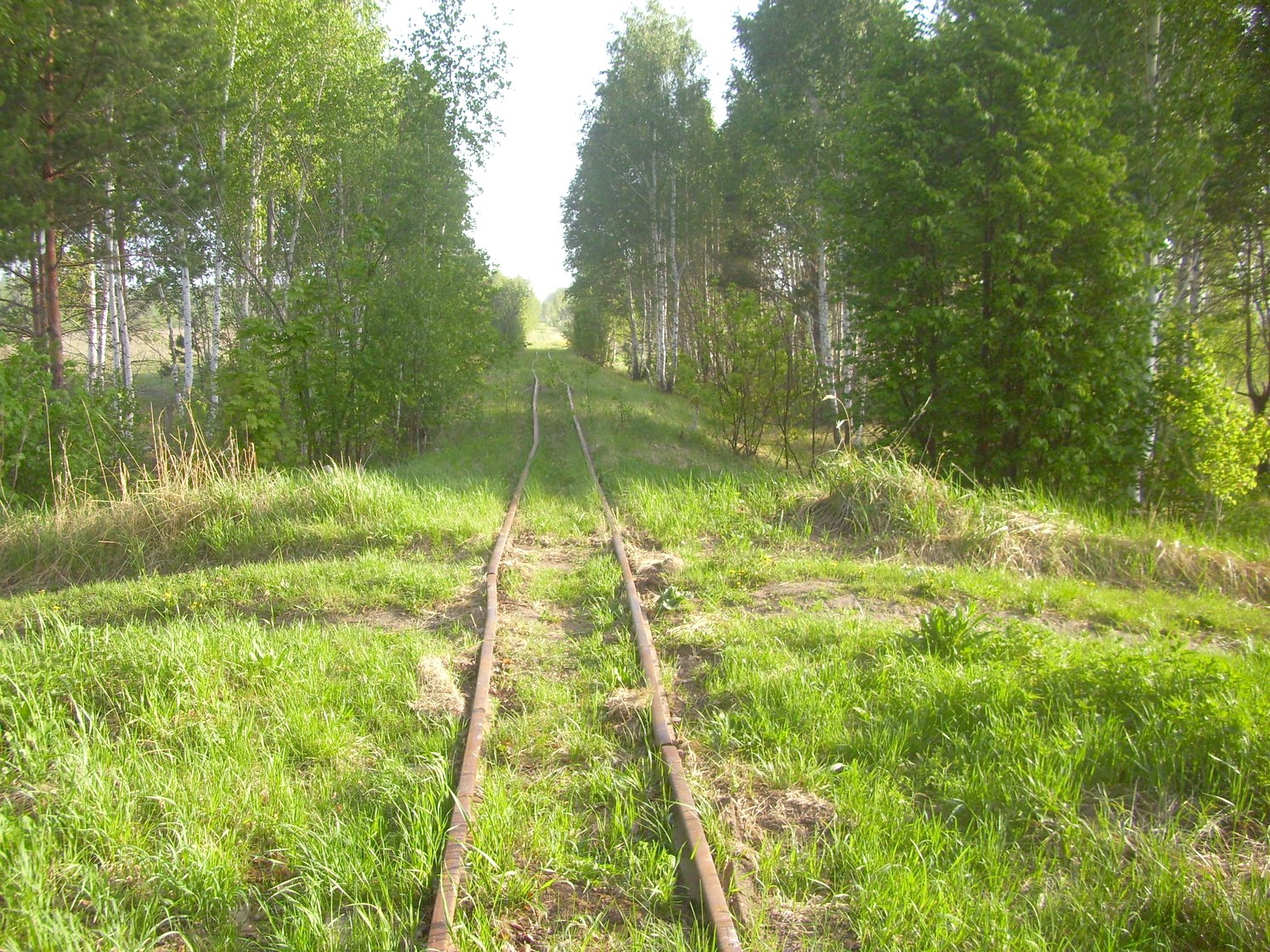 Узкоколейная железная дорога Никольского стекольного завода 
  —  фотографии, сделанные в 2010 году (часть 7)