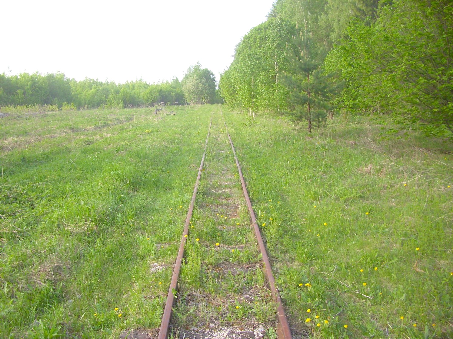Узкоколейная железная дорога Никольского стекольного завода 
  —  фотографии, сделанные в 2010 году (часть 8)