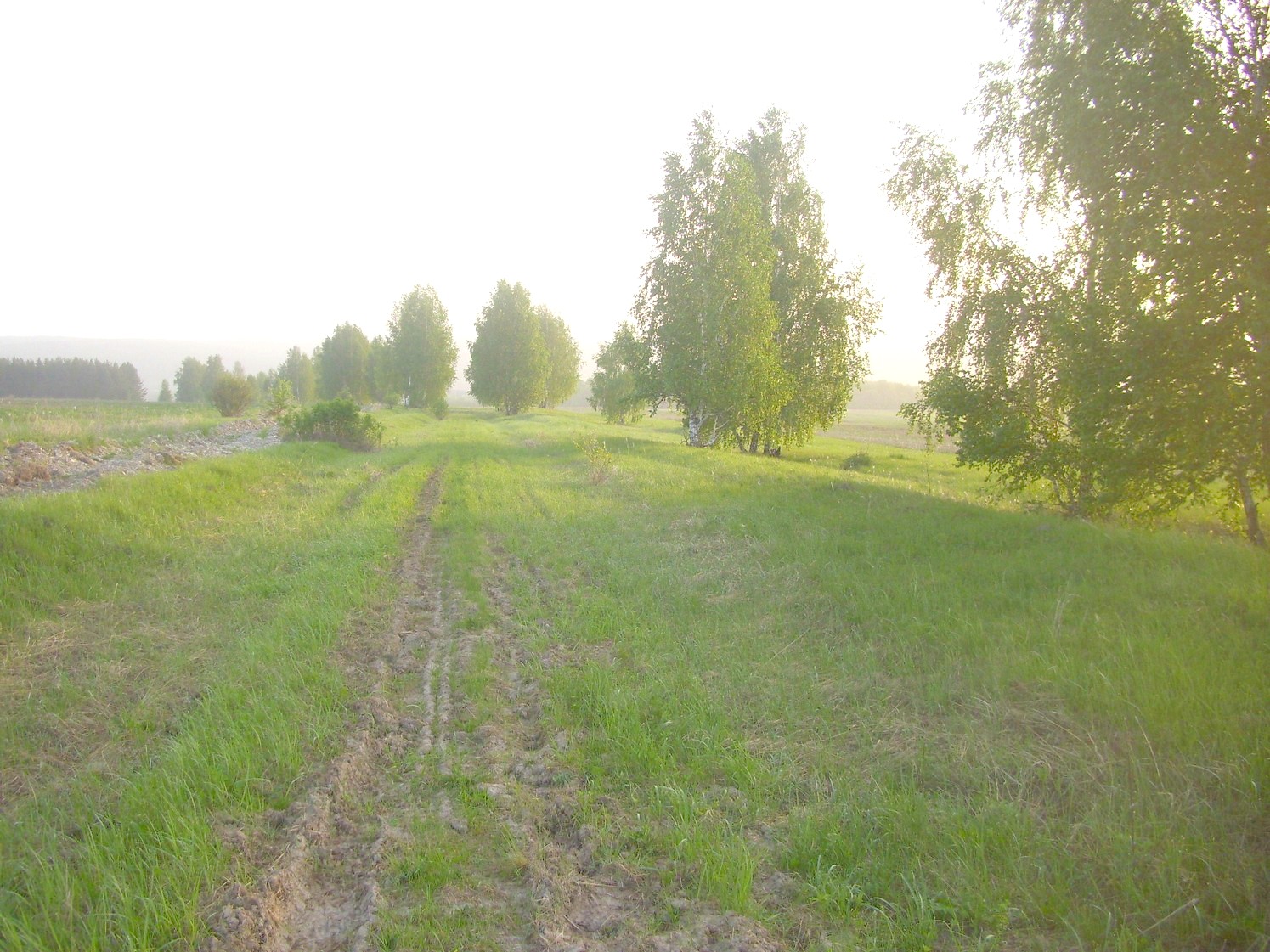 Узкоколейная железная дорога Никольского стекольного завода 
  —  фотографии, сделанные в 2010 году (часть 2)