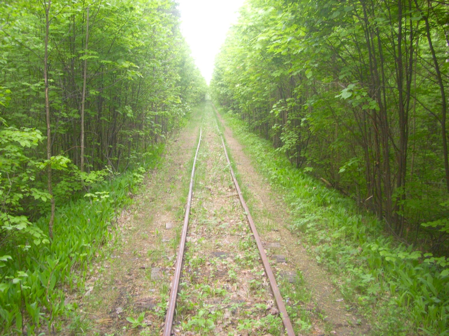 Узкоколейная железная дорога Никольского стекольного завода 
  —  фотографии, сделанные в 2010 году (часть 12)