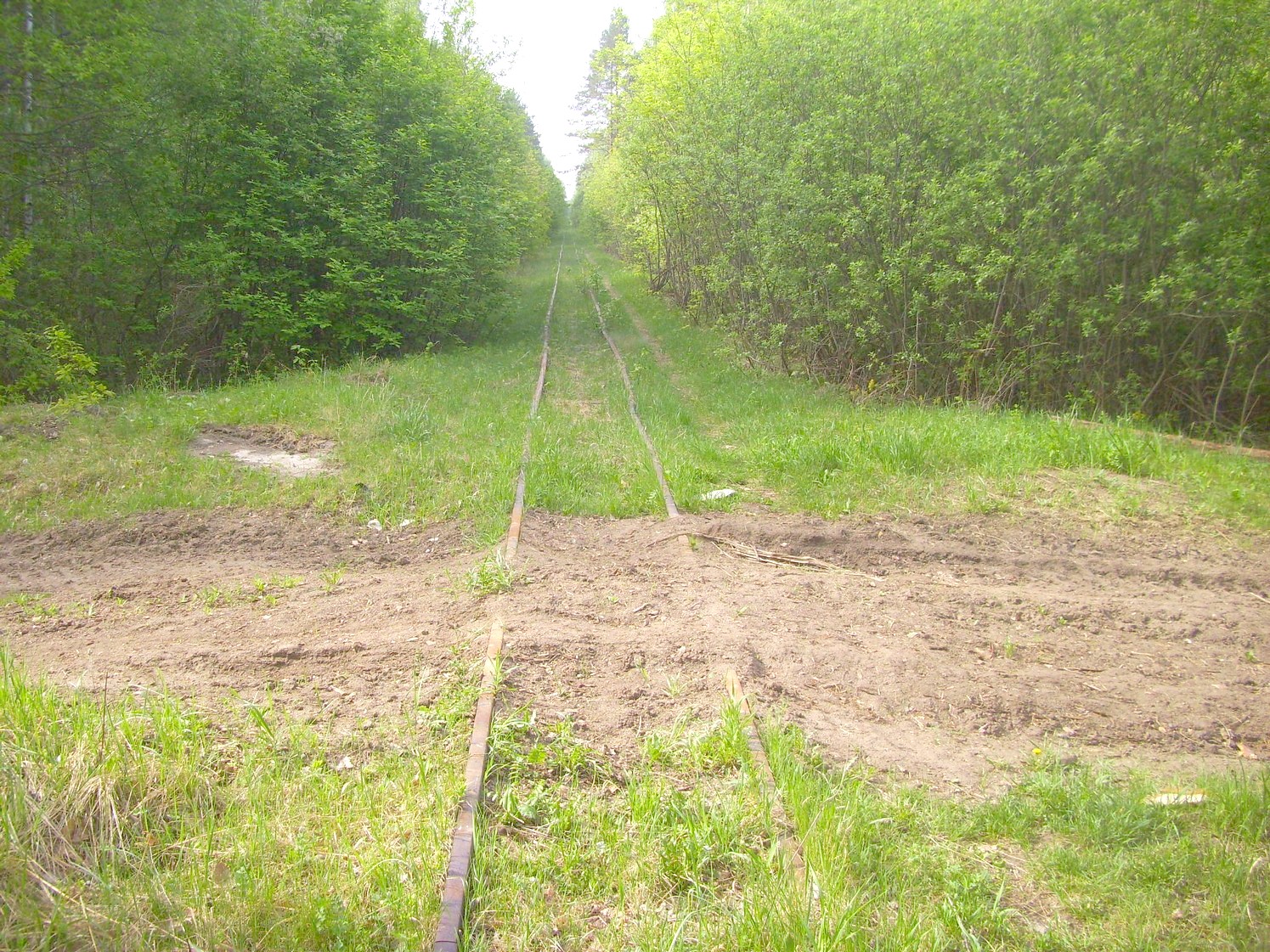 Узкоколейная железная дорога Никольского стекольного завода 
  —  фотографии, сделанные в 2010 году (часть 13)