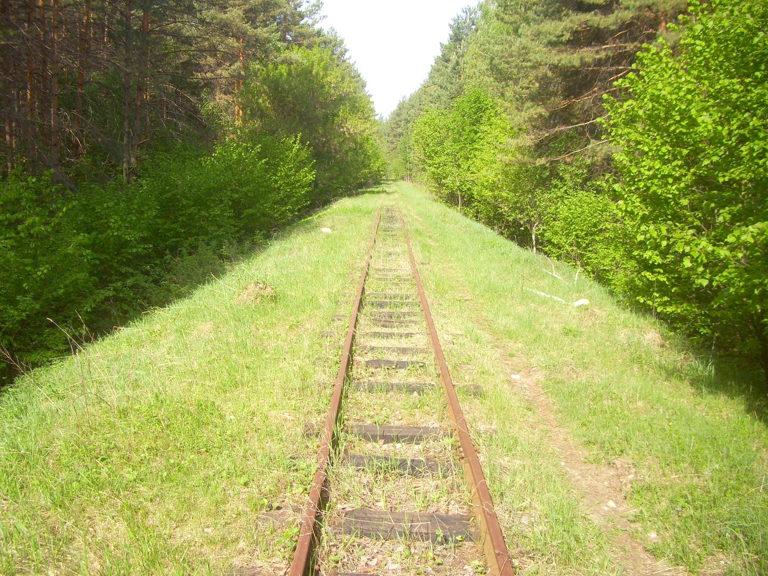 Узкоколейная железная дорога Никольского стекольного завода 
  —  фотографии, сделанные в 2010 году (часть 14)