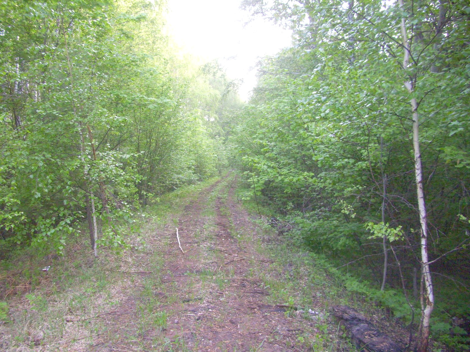 Узкоколейная железная дорога Никольского стекольного завода 
  —  фотографии, сделанные в 2010 году (часть 3)