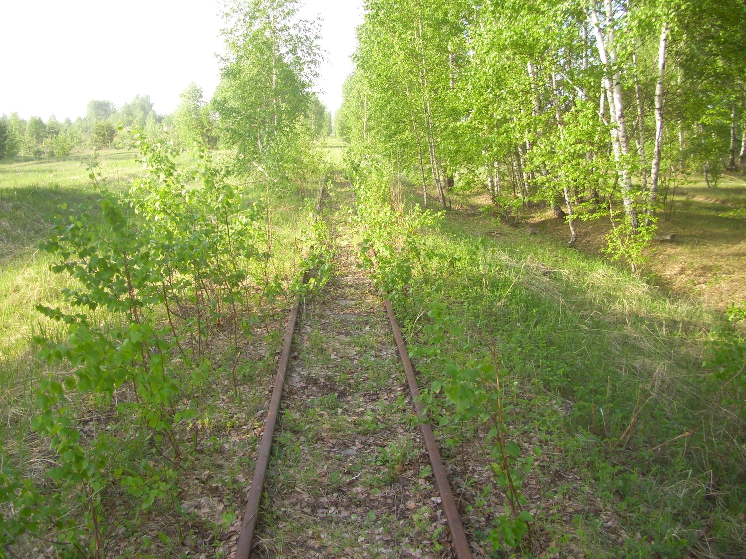 Узкоколейная железная дорога Никольского стекольного завода 
  —  фотографии, сделанные в 2010 году (часть 5)