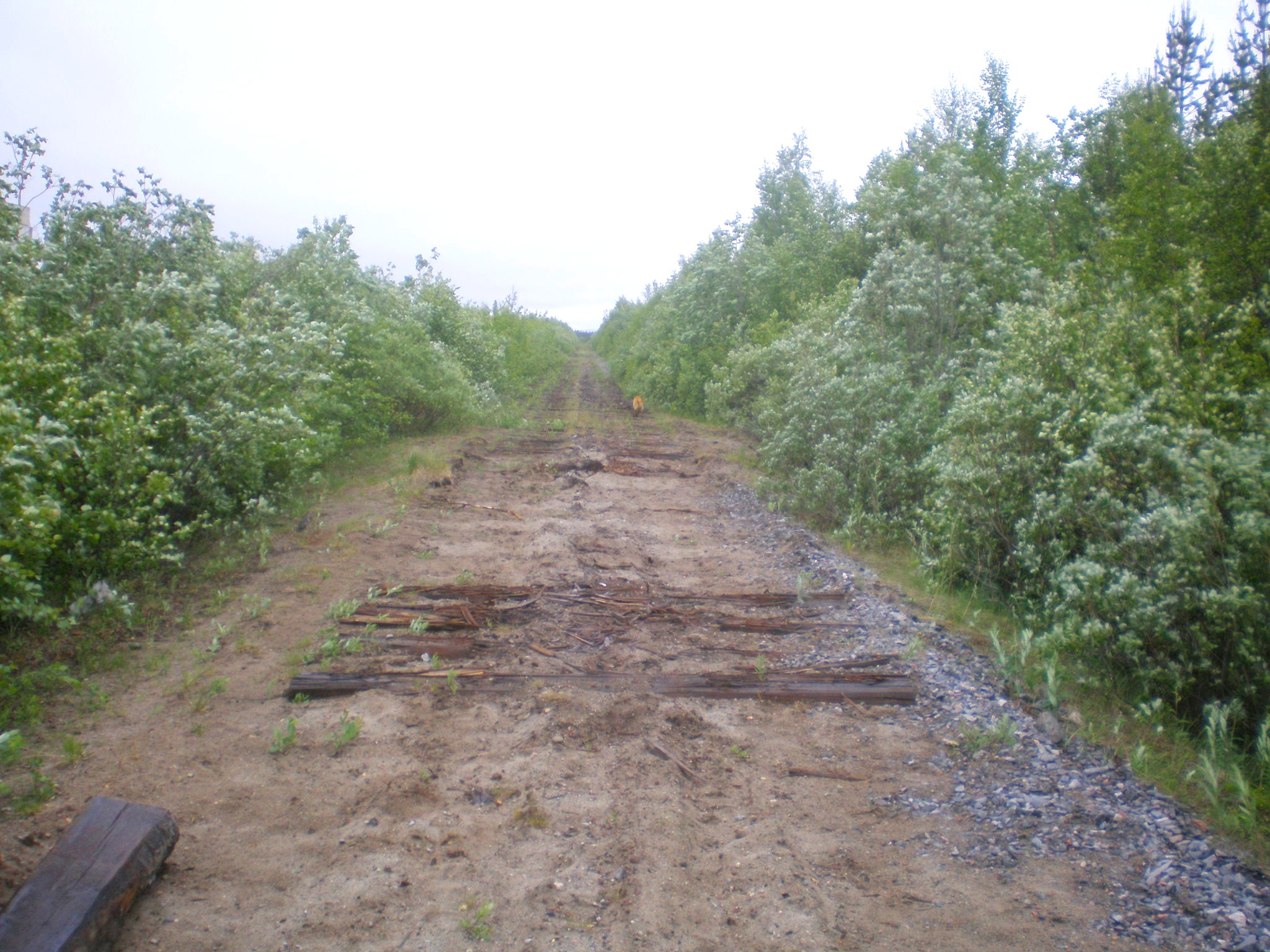 Железнодорожная линия Айкувен —  Ловозеро  — фотографии, сделанные в 2008 году (часть 1)