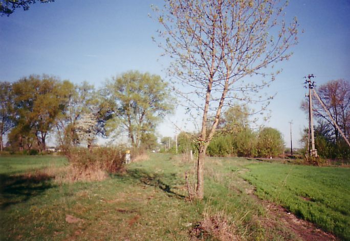 Узкоколейная железная дорога Червонского сахарного комбината — фотографии, сделанные в 2003 году