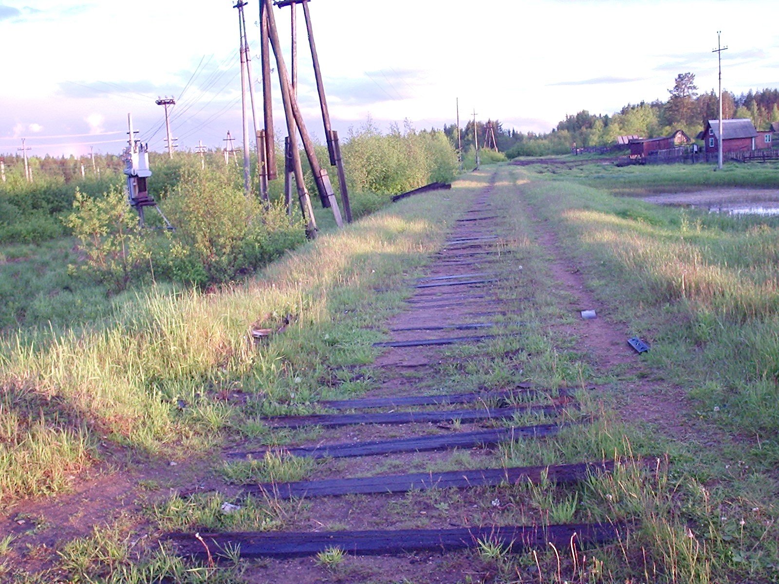 Узкоколейная железная дорога лесопункта  Зелёный