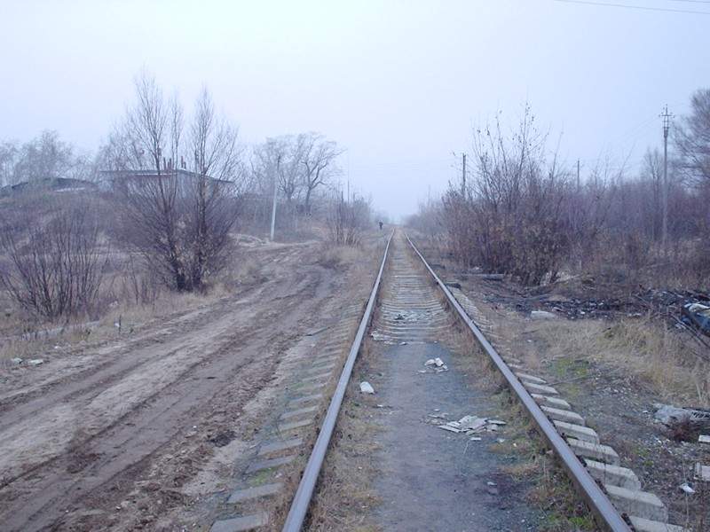 Отдельные фотографии объектов железнодорожного транспорта на территории Рязанской области —  дополнительная страница 1