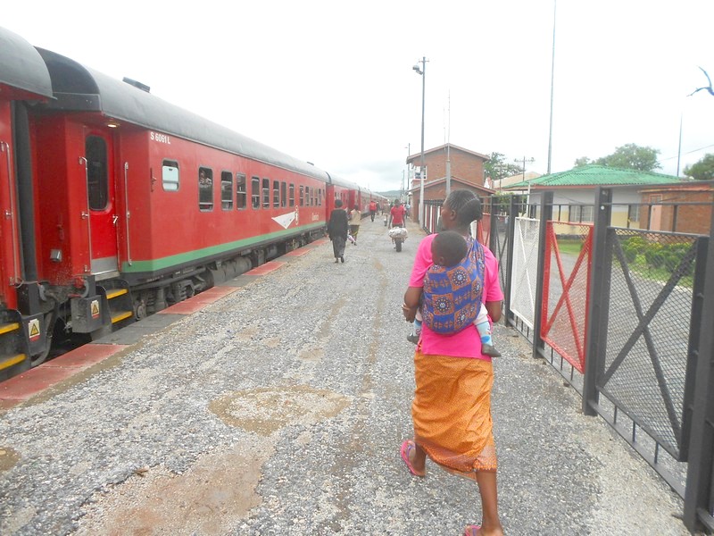 Поездка  в Танзанию, Замбию, Зимбабве, Ботсвану, ЮАР, 2018 год (часть 3)