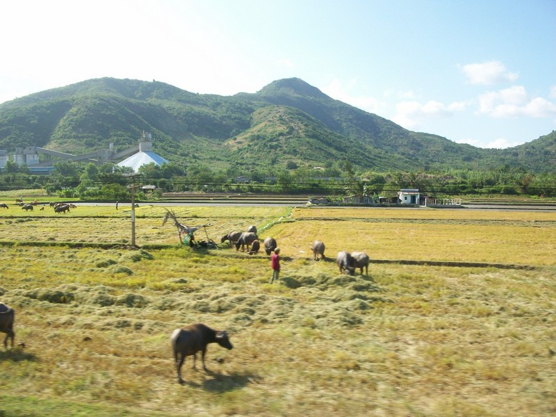 Поездка  во Вьетнам, 2016 год (часть 2)