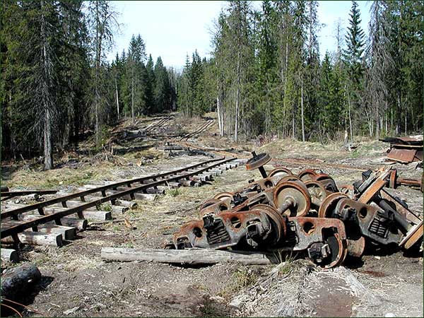 Узкоколейная железная дорога в окрестностях посёлка Токари