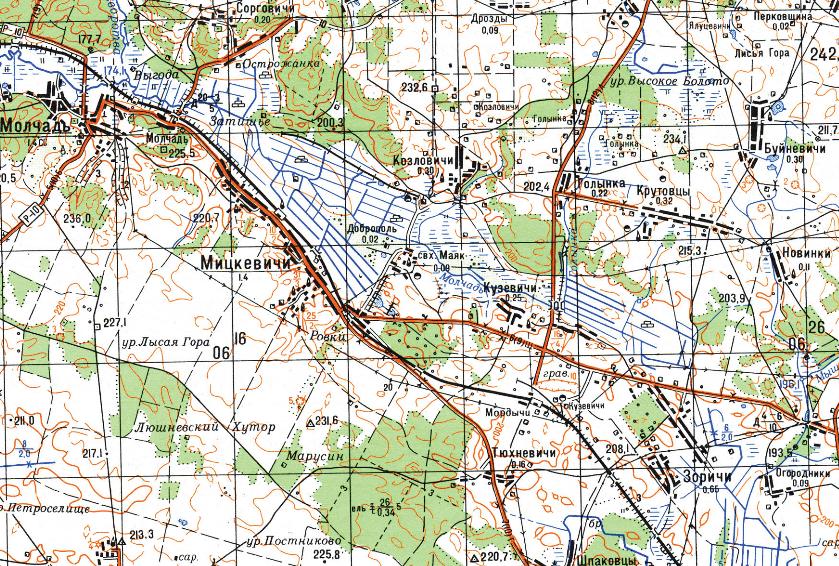 Узкоколейные железные дороги Брестской области
